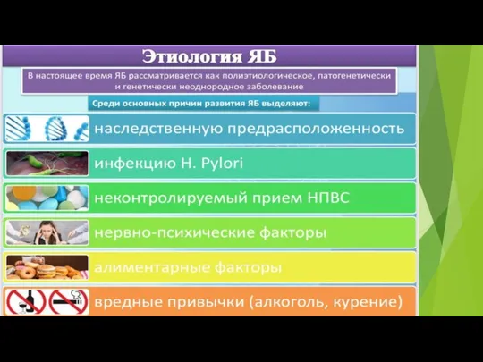 Этиология и патогенез Наследственная предрасположенность наличие на слизистой желудка микроба Helicobacter pylori;