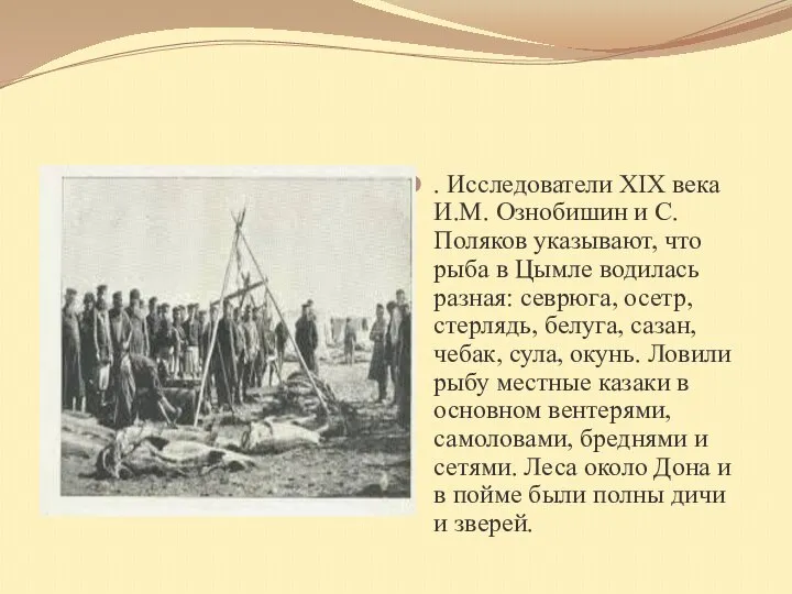 . Исследователи XIX века И.М. Ознобишин и С. Поляков указывают, что рыба