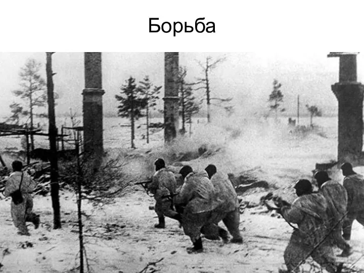 Борьба