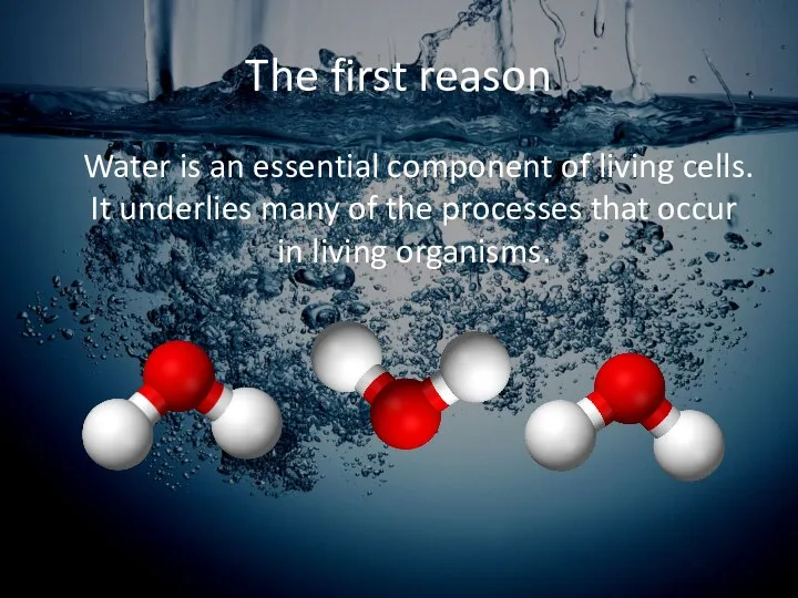 The first reason Water is an essential component of living cells. It