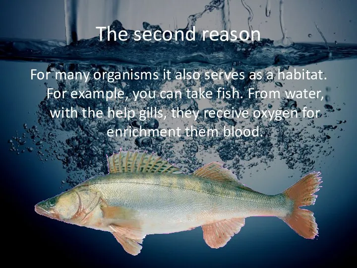 The second reason For many organisms it also serves as a habitat.
