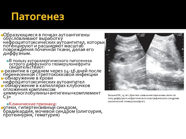 Патогенез Образующиеся в почках аутоантигены обусловливают выработку нефроцитотоксических аутоантител, которые потенцируют и