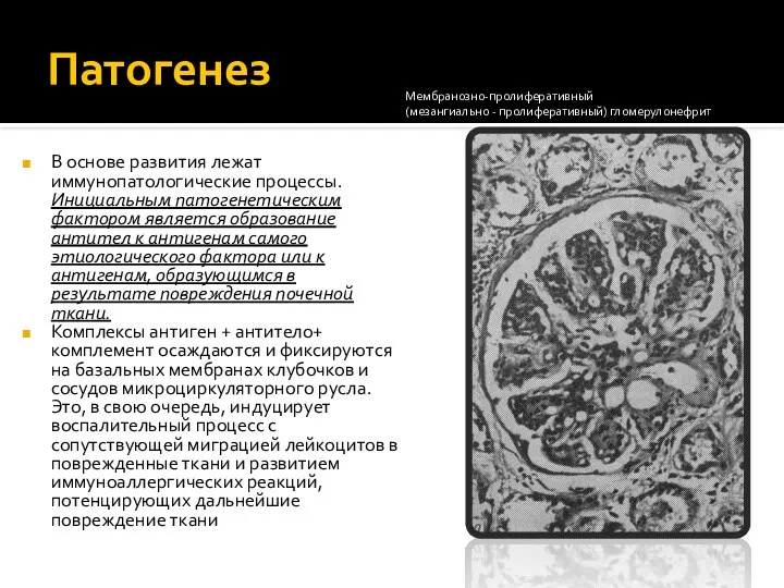 Патогенез В основе развития лежат иммунопатологические процессы. Инициальным патогенетическим фактором является образование