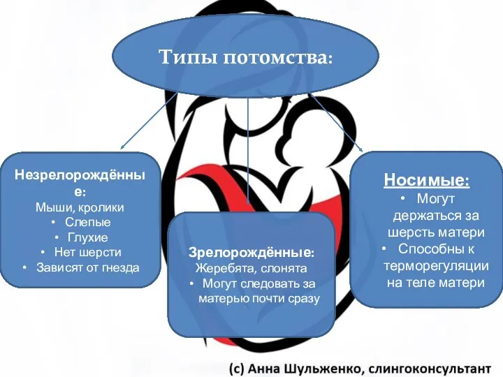 Типы потомства: Незрелорождённые: Мыши, кролики Слепые Глухие Нет шерсти Зависят от гнезда