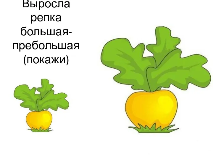 Выросла репка большая-пребольшая (покажи)