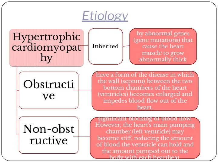 Etiology have a form of the disease in which the wall (septum)