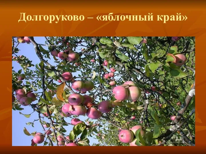 Долгоруково – «яблочный край»