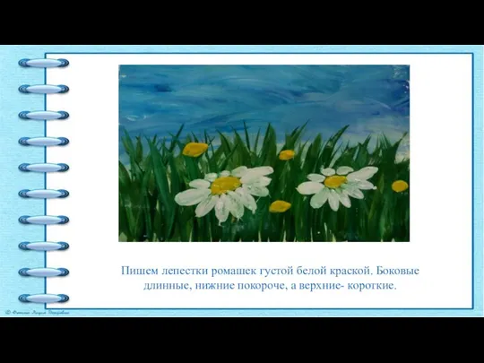 Пишем лепестки ромашек густой белой краской. Боковые длинные, нижние покороче, а верхние- короткие.