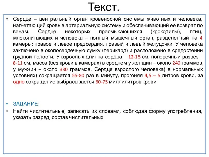 Текст. Сердце – центральный орган кровеносной системы животных и человека, нагнетающий кровь