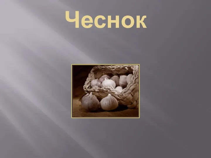 Чеснок