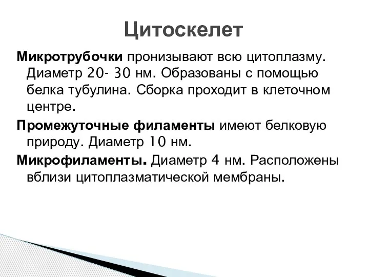 Микротрубочки пронизывают всю цитоплазму. Диаметр 20- 30 нм. Образованы с помощью белка