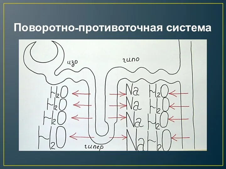 Поворотно-противоточная система