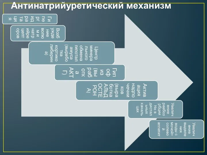 Антинатрийуретический механизм