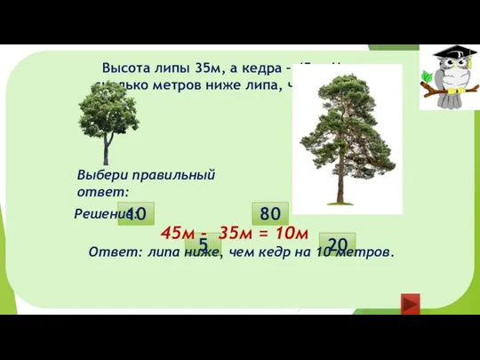 Высота липы 35м, а кедра – 45м. На сколько метров ниже липа,