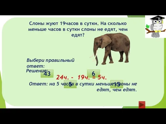 Слоны жуют 19часов в сутки. На сколько меньше часов в сутки слоны