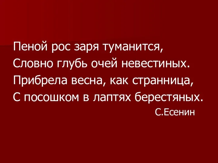 Пеной рос заря туманится, Словно глубь очей невестиных. Прибрела весна, как странница,