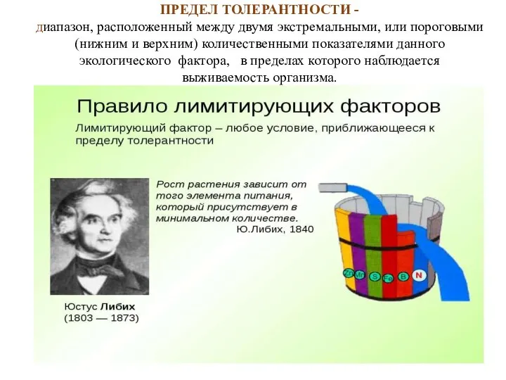 ПРЕДЕЛ ТОЛЕРАНТНОСТИ - диапазон, расположенный между двумя экстремальными, или пороговыми (нижним и