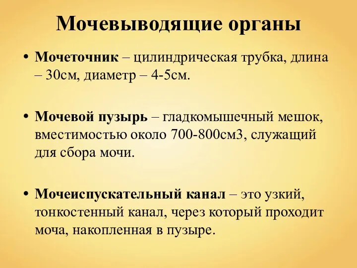 Мочевыводящие органы Мочеточник – цилиндрическая трубка, длина – 30см, диаметр – 4-5см.