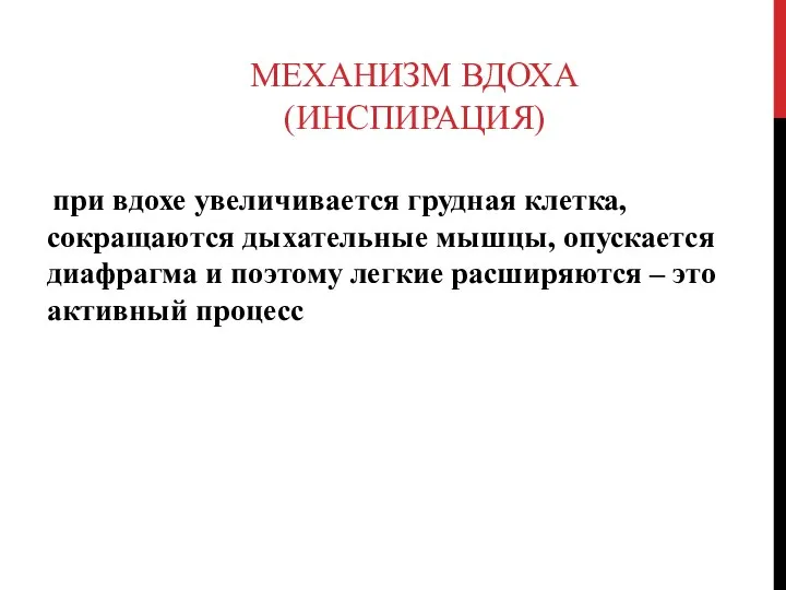 МЕХАНИЗМ ВДОХА (ИНСПИРАЦИЯ) при вдохе увеличивается грудная клетка, сокращаются дыхательные мышцы, опускается