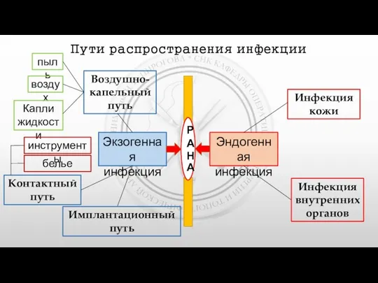 Пути распространения инфекции Р А Н А Экзогенная инфекция Эндогенная инфекция Инфекция