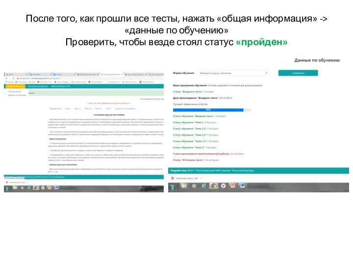 После того, как прошли все тесты, нажать «общая информация» -> «данные по