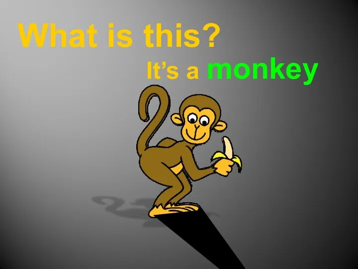 What is this? It’s a monkey