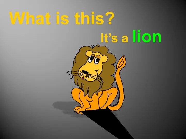 What is this? It’s a lion
