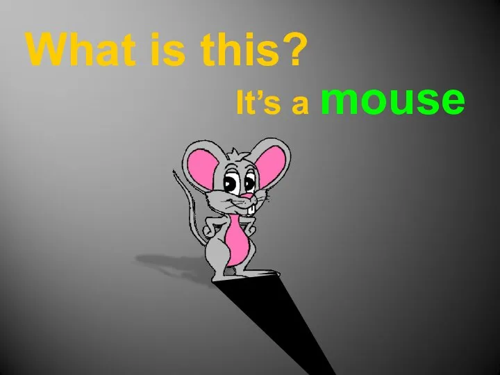 What is this? It’s a mouse