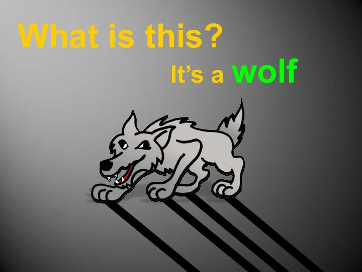 What is this? It’s a wolf