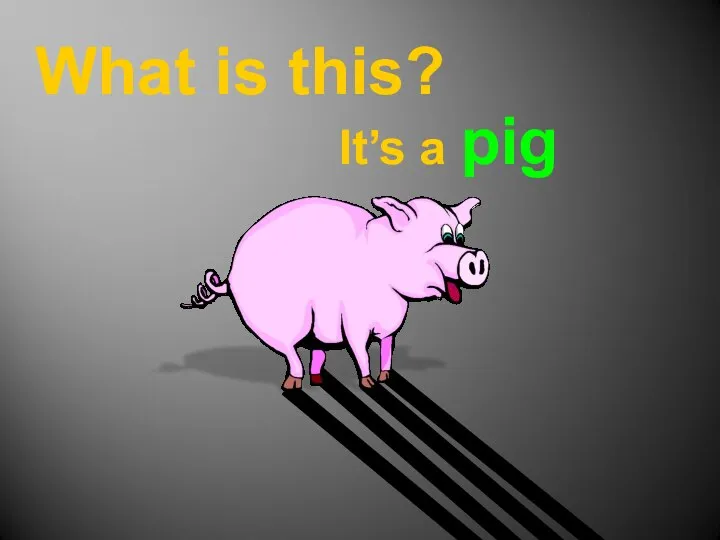 What is this? It’s a pig