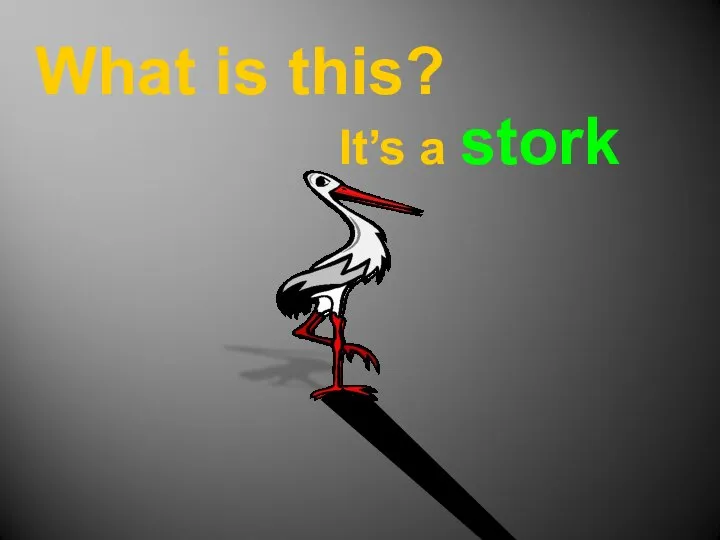 What is this? It’s a stork