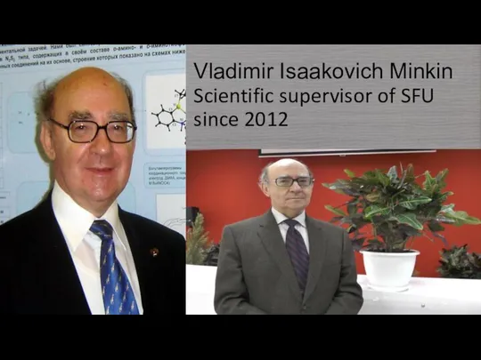 Vladimir Isaakovich Minkin Scientific supervisor of SFU since 2012