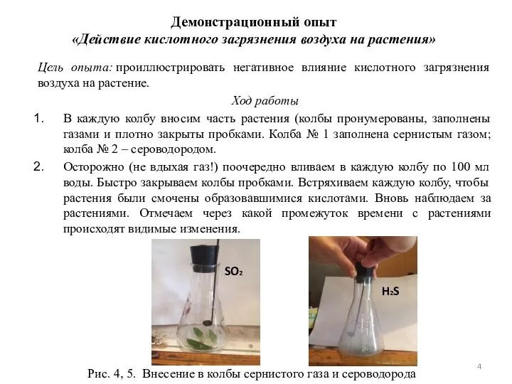 Демонстрационный опыт «Действие кислотного загрязнения воздуха на растения» Цель опыта: проиллюстрировать негативное