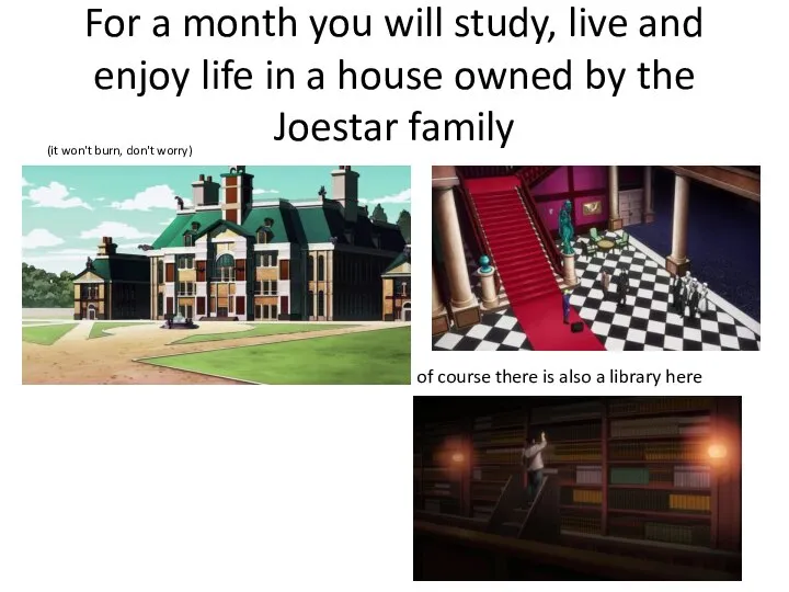 For a month you will study, live and enjoy life in a