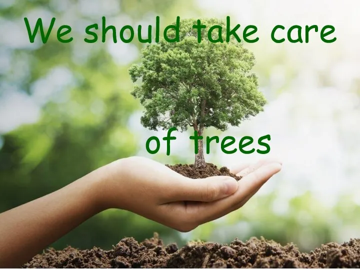 We should take care of trees