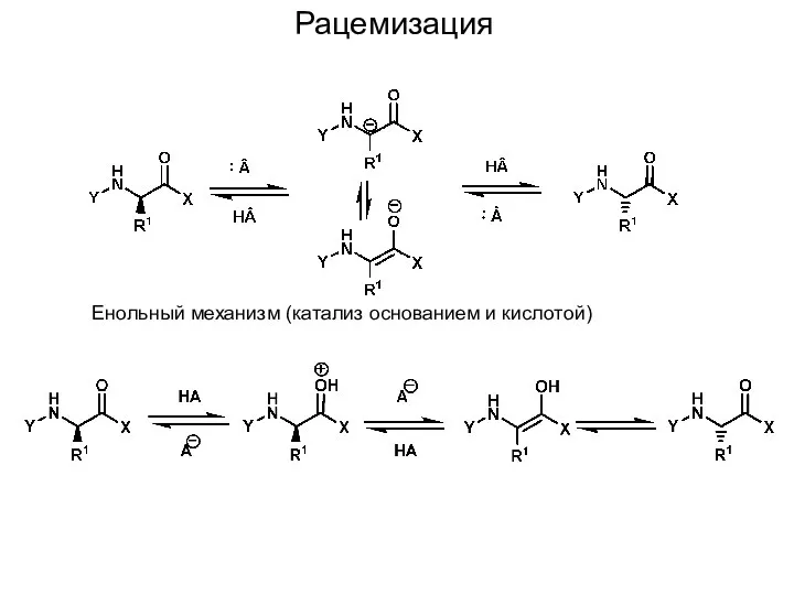 Рацемизация Енольный механизм (катализ основанием и кислотой)