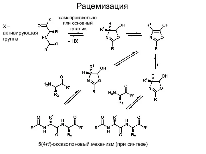 Рацемизация 5(4H)-оксазолоновый механизм (при синтезе) X – активирующая группа самопроизвольно или основный катализ