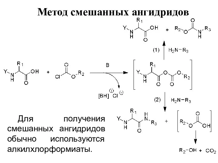 Метод смешанных ангидридов Для получения смешанных ангидридов обычно используются алкилхлорформиаты.