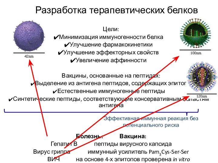 Цели: Минимизация иммуногенности белка Улучшение фармакокинетики Улучшение эффекторных свойств Увеличение аффинности Вакцины,