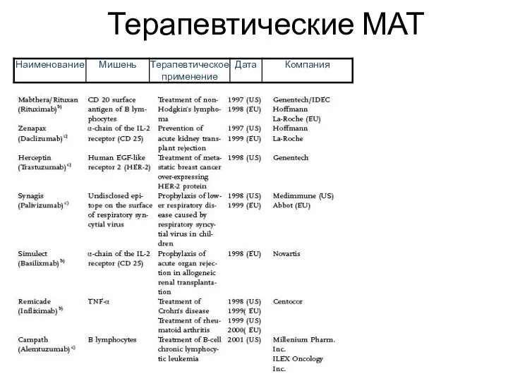 Терапевтические МАТ