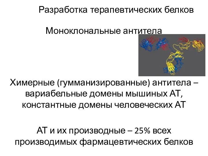 Разработка терапевтических белков Моноклональные антитела Химерные (гумманизированные) антитела – вариабельные домены мышиных