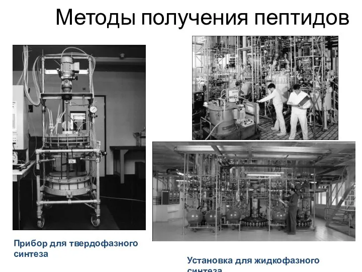 Методы получения пептидов Прибор для твердофазного синтеза Биотехнологическое производство Установка для жидкофазного синтеза