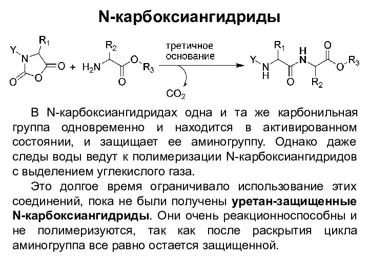 N-карбоксиангидриды В N-карбоксиангидридах одна и та же карбонильная группа одновременно и находится