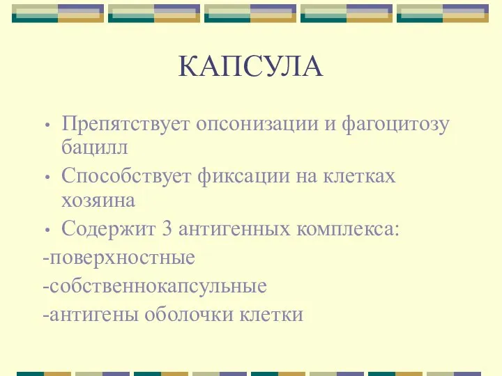 КАПСУЛА Препятствует опсонизации и фагоцитозу бацилл Способствует фиксации на клетках хозяина Содержит