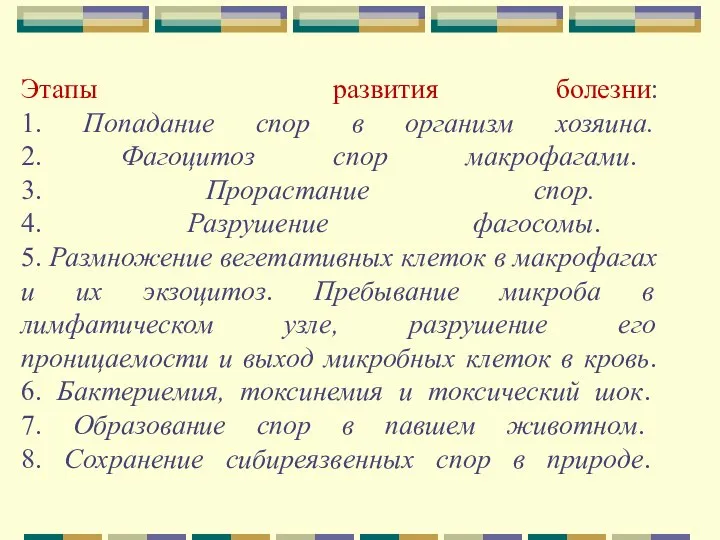 Этапы развития болезни: 1. Попадание спор в организм хозяина. 2. Фагоцитоз спор