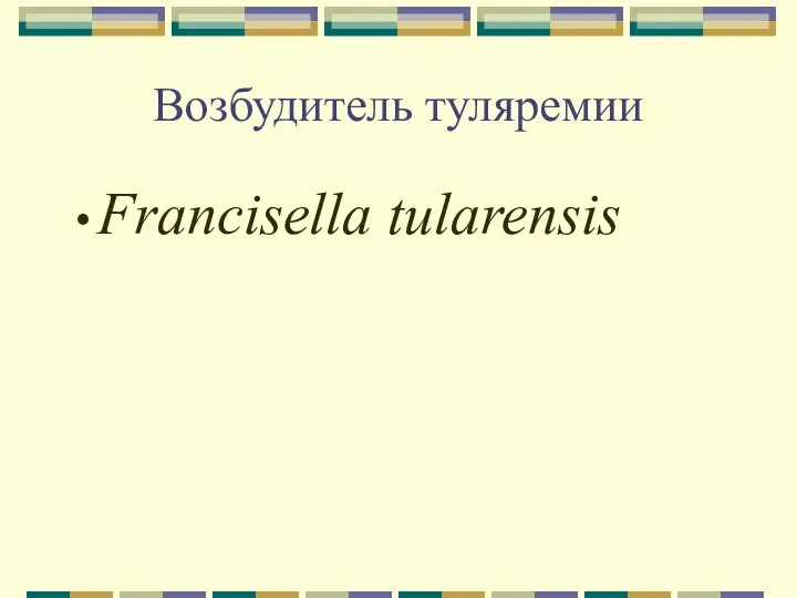 Возбудитель туляремии Francisella tularensis