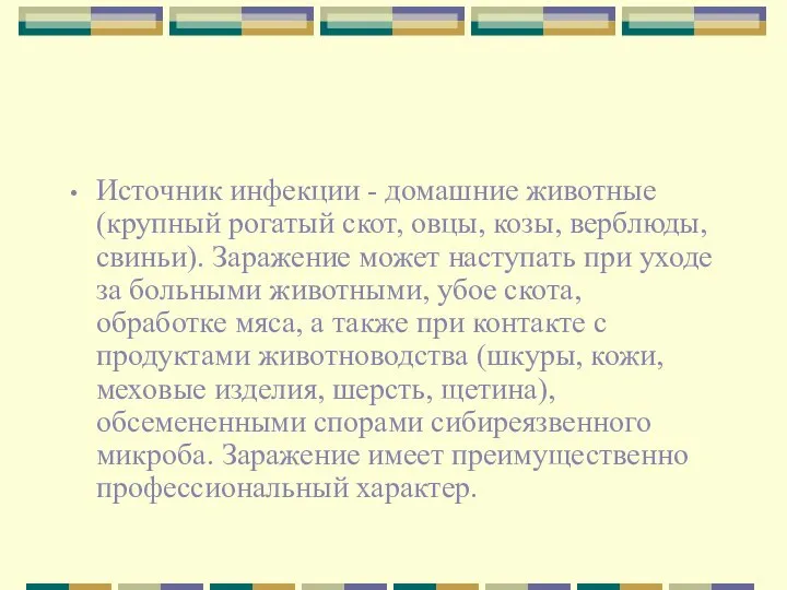 Источник инфекции - домашние животные (крупный рогатый скот, овцы, козы, верблюды, свиньи).