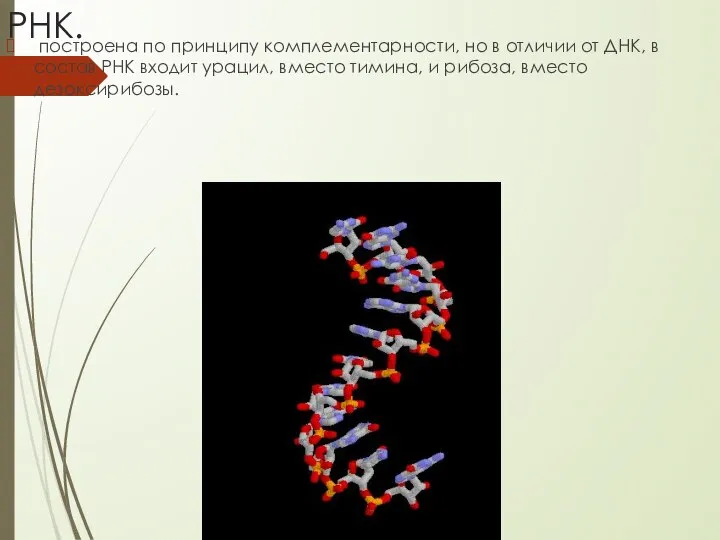 РНК. построена по принципу комплементарности, но в отличии от ДНК, в состав