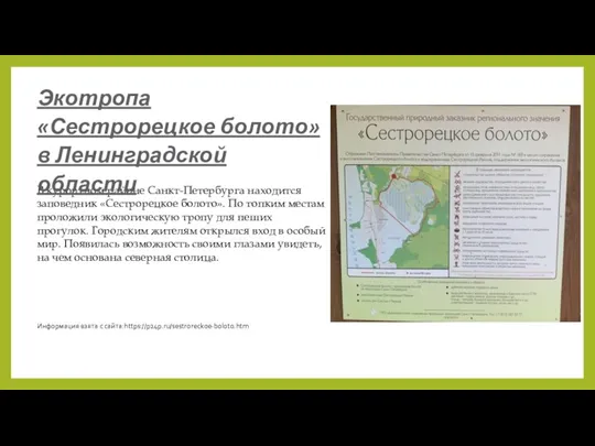 В курортном районе Санкт-Петербурга находится заповедник «Сестрорецкое болото». По топким местам проложили