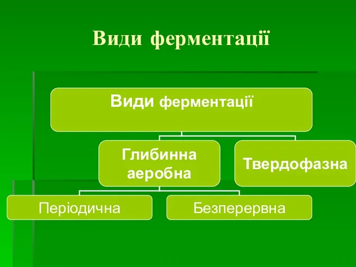 Види ферментації